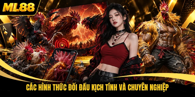 Các hình thức đối đầu kịch tính và chuyên nghiệp