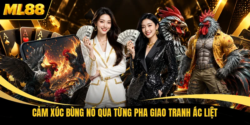 Cảm xúc bùng nổ qua từng pha giao tranh ác liệt