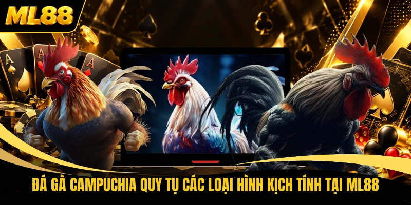 Đá Gà Campuchia Quy Tụ Các Loại Hình Kịch Tính Tại ML88
