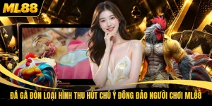 Đá Gà Đòn Loại Hình Thu Hút Chú Ý Đông Đảo Người Chơi ML88