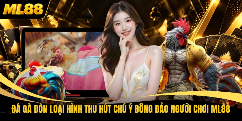 Đá Gà Đòn Loại Hình Thu Hút Chú Ý Đông Đảo Người Chơi ML88
