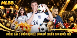 Hướng Dẫn 3 Bước Đọc Kèo Bóng Đá Chuẩn Cho Người Mới
