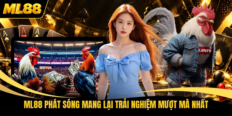 ML88 phát sóng mang lại trải nghiệm mượt mà nhất