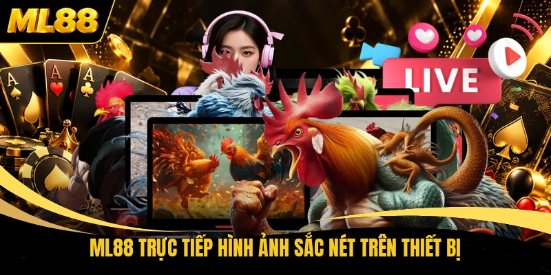 ML88 trực tiếp hình ảnh sắc nét trên thiết bị 