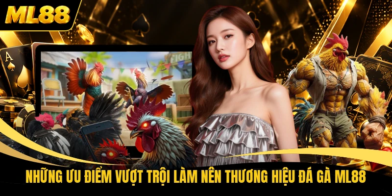 Những ưu điểm vượt trội làm nên thương hiệu đá gà ML88