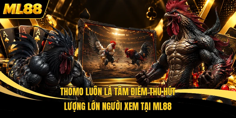 Thomo luôn là tâm điểm thu hút lượng lớn người xem tại ML88